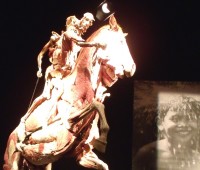 cadaver2