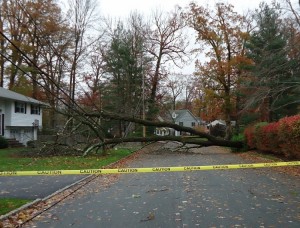 Hurricane_Sandy_photos_Summit_NJ_4