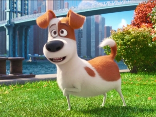 Max from Secret Life of Pets