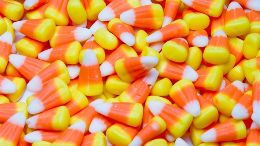 Favorite Halloween Candy