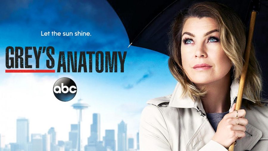 Greys Anatomy: Is it time for the show to end?