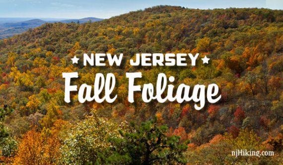 Best Places to See New Jersey Fall Foliage