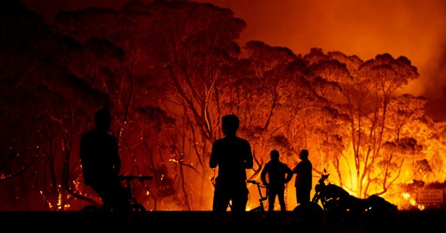 The Australian Bushfire Blazes