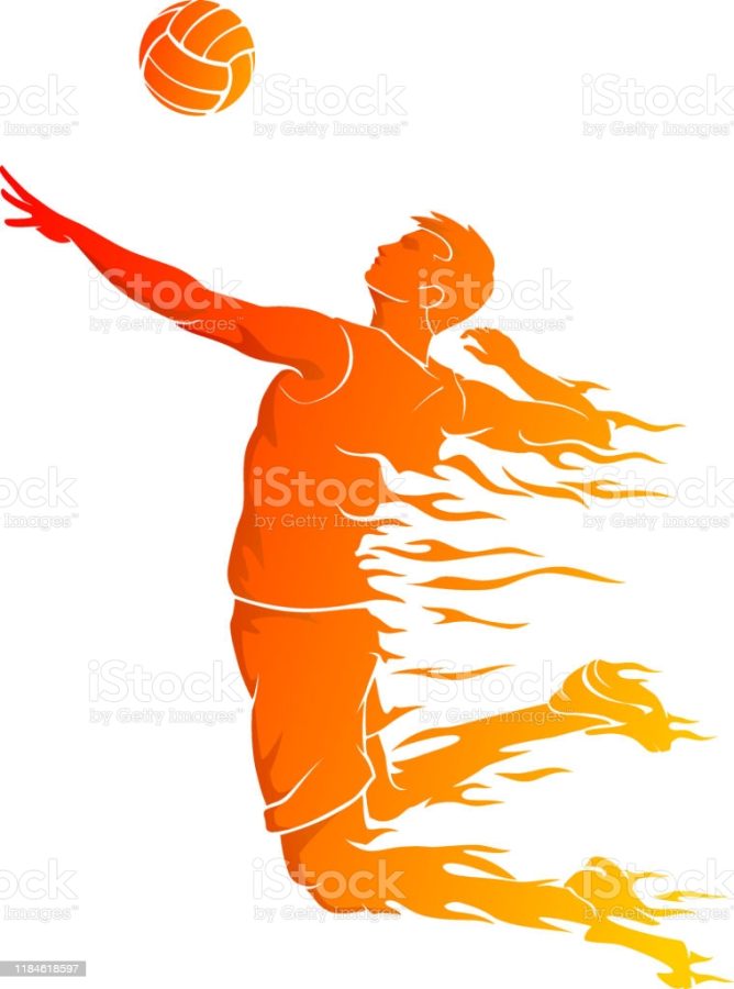 Isolated vector illustration of active team sport volleyball player, abstract power and speed