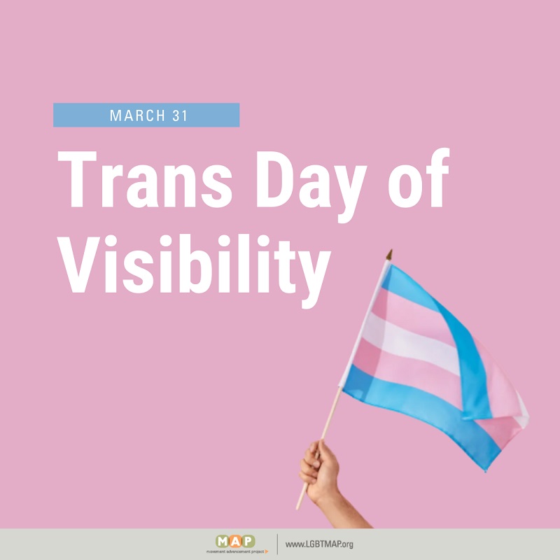 Trans+Day+Of+Visibility
