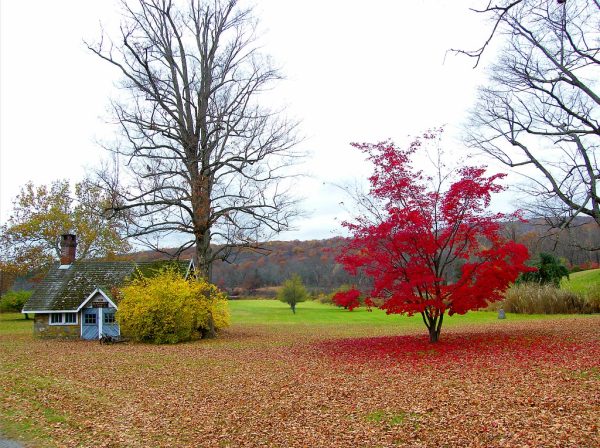 Fall is Here!