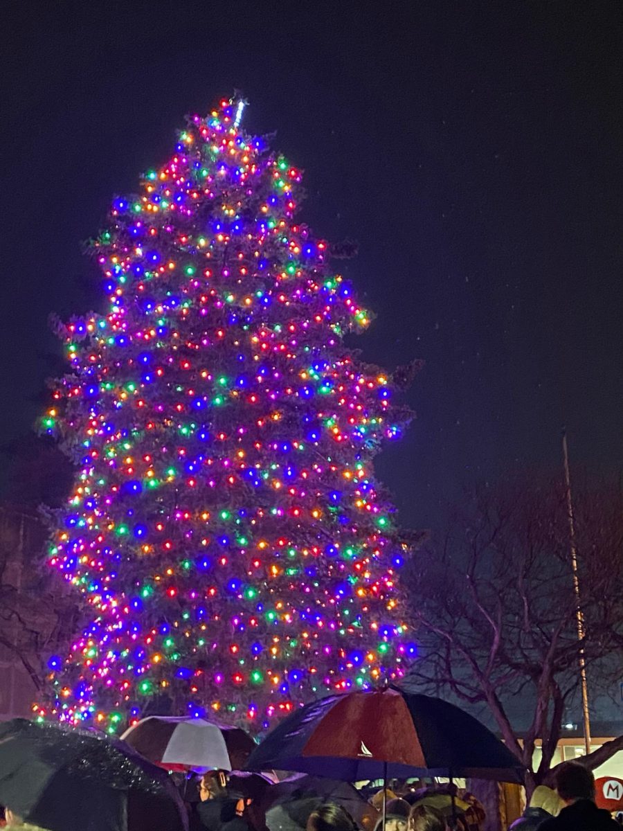Hawthorne+Christmas+Tree