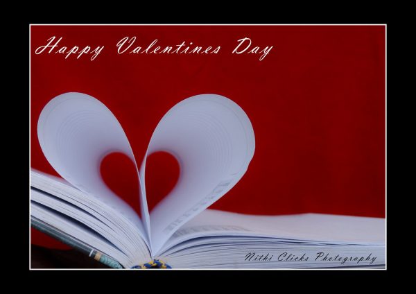 Enjoy Valentines Day!