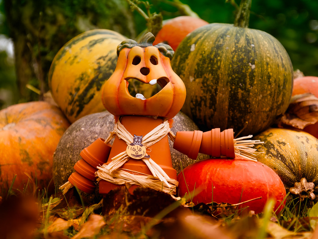 Pumpkin Man is Ready For a Safe Halloween...