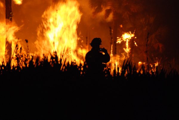 Fires Scorching NJ Wildlands