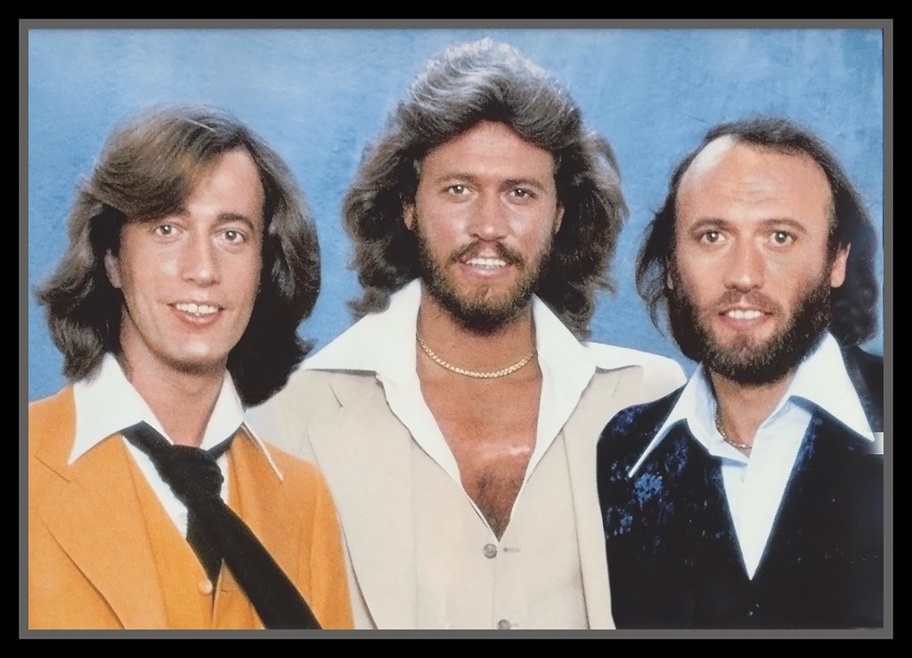 The Bee Gees: Saturday Night Fever