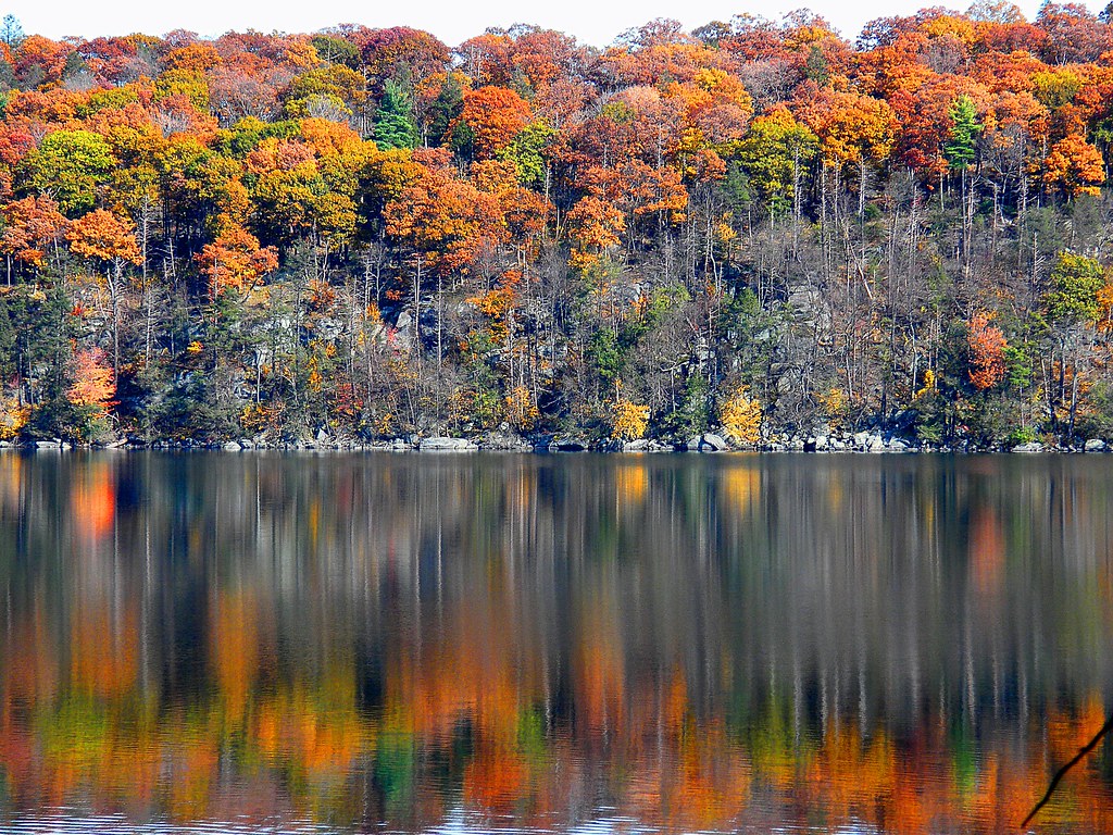 Fall is Here...Soon...