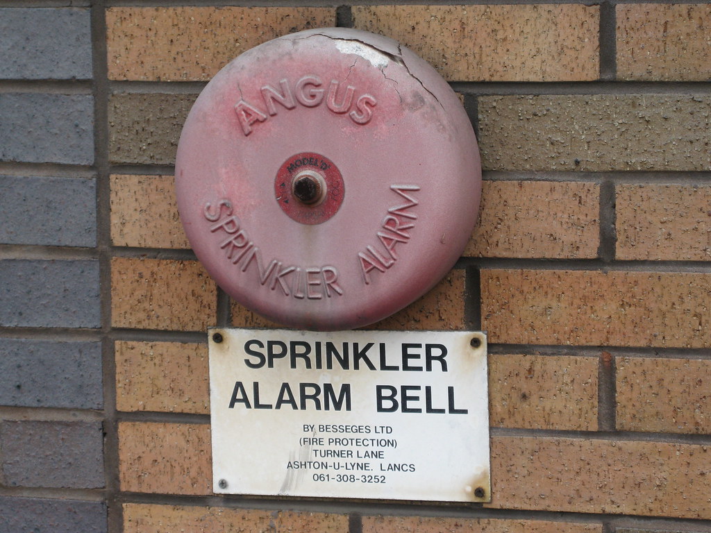 We Can Hear the Bells
