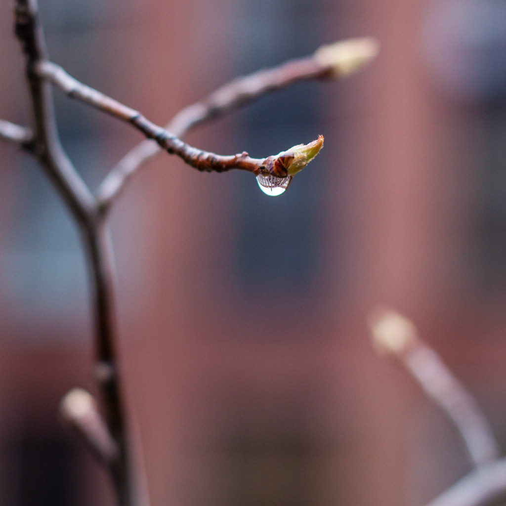 April Showers