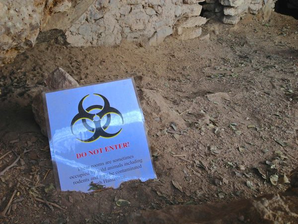 Hantavirus: The Future